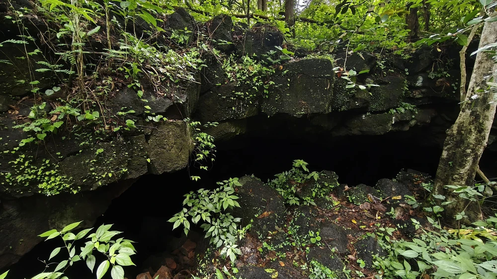 Rà soát việc thực hiện khuyến nghị của UNESCO ở Công viên địa chất toàn cầu UNESCO Đăk Nông - Ảnh 4.