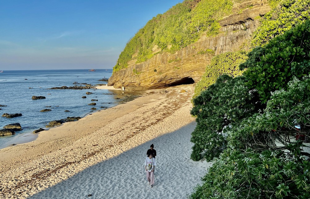 Vẻ đẹp mùa hoa Phong ba trên đá núi lửa Lý Sơn - Ảnh 3.