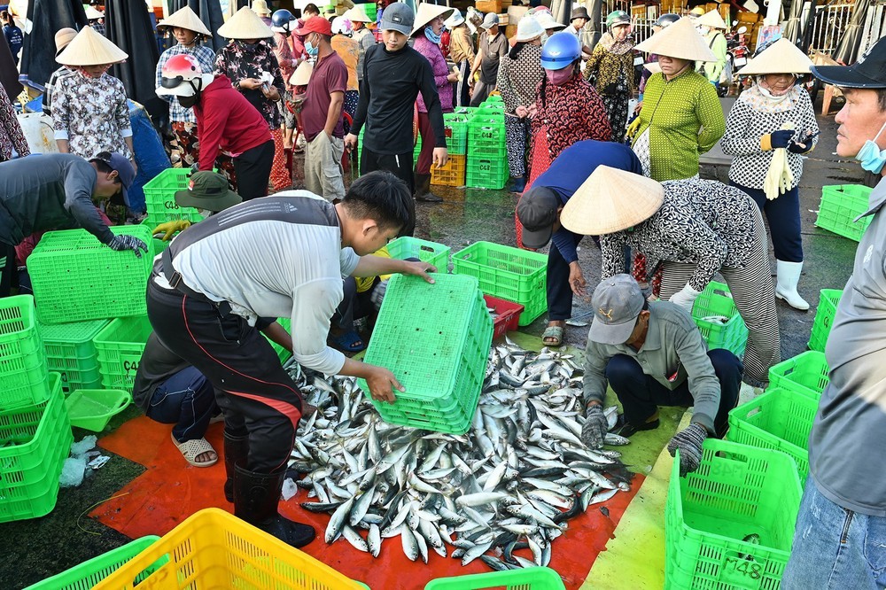 Nghị quyết 36-NQ/TW: Đưa kinh tế biển trở thành động lực phát triển chiến lược - Ảnh 3. Nghị quyết 36-NQ/TW: Đưa kinh tế biển trở thành động lực phát triển chiến lược - Ảnh 3.