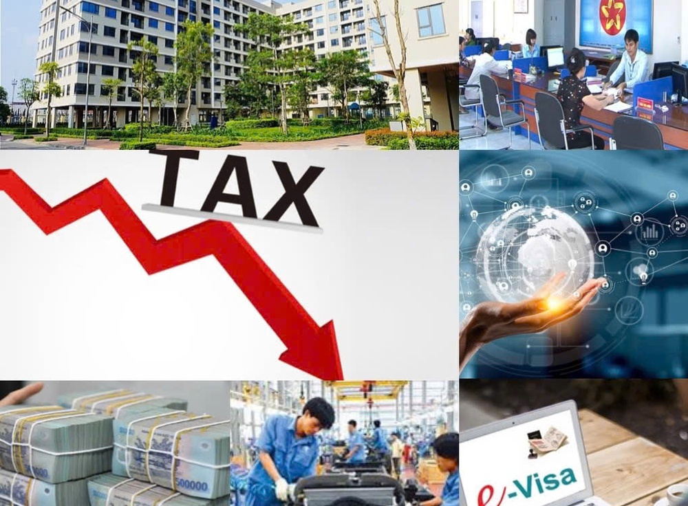 Cắt giảm hơn 3.400 thủ tục hành chính, điều kiện kinh doanh - Ảnh 1.