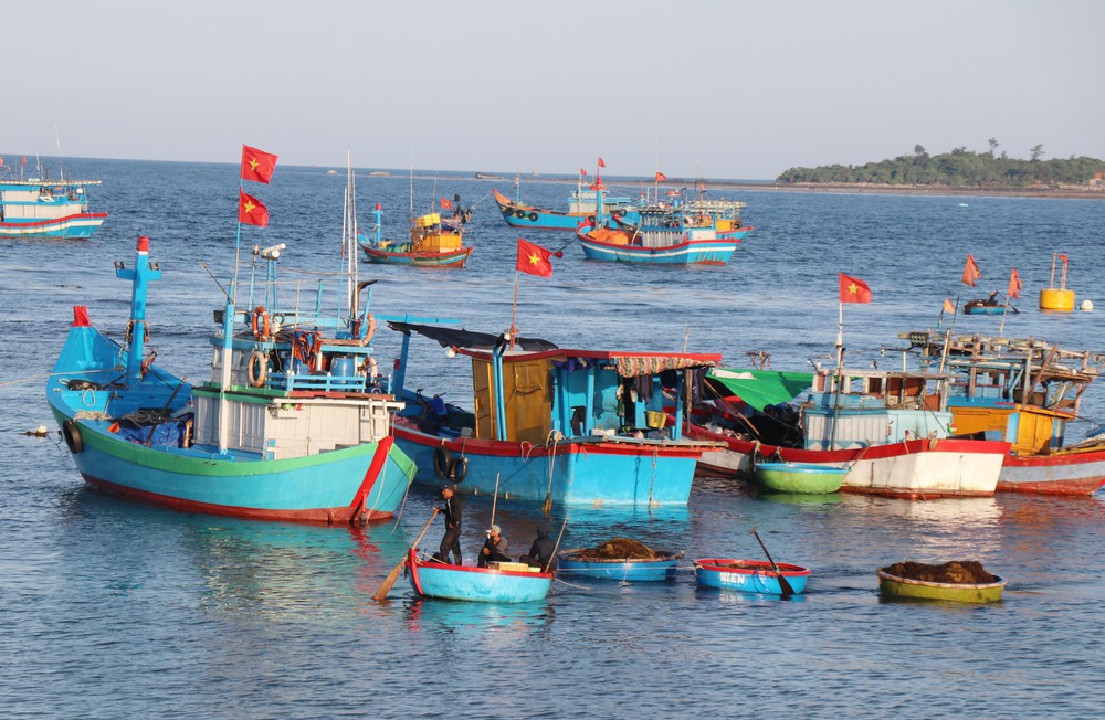 Quảng Ngãi: Khám phá vẻ đẹp Làng chài Phước Thiện những ngày thủy triều rút - Ảnh 9.