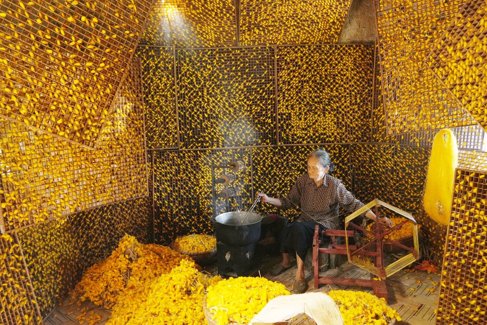 Hành trình khôi phục chuỗi tơ tằm, xây dựng thương hiệu Lụa Hoa Lư - Ảnh 1. Hành trình khôi phục chuỗi tơ tằm, xây dựng thương hiệu Lụa Hoa Lư - Ảnh 1.