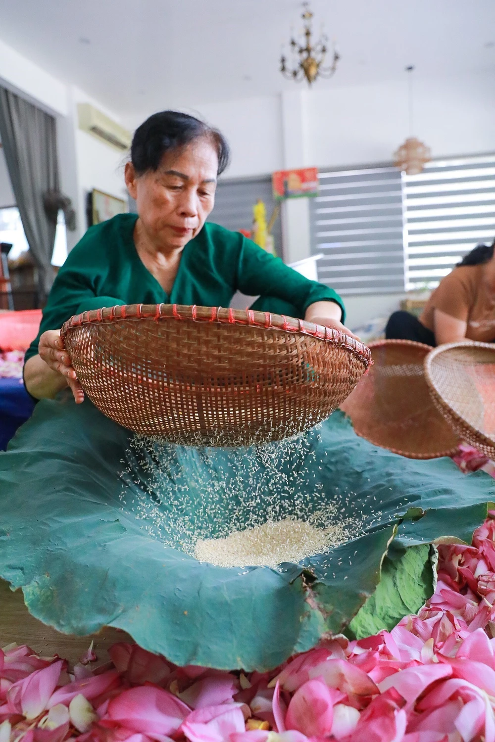 Tinh hoa nghề ướp trà sen Quảng An - Ảnh 10. Tinh hoa nghề ướp trà sen Quảng An - Ảnh 10.