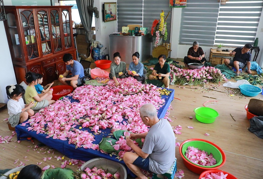 Tinh hoa nghề ướp trà sen Quảng An - Ảnh 5. Tinh hoa nghề ướp trà sen Quảng An - Ảnh 5.