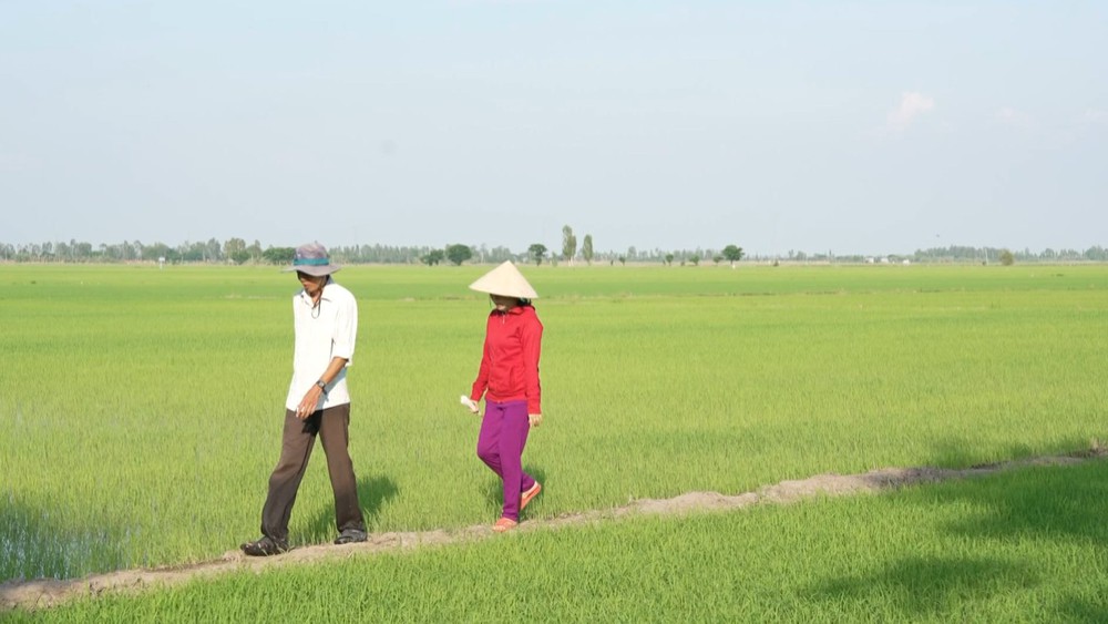 Người thầy gieo chữ và hành trình giữ màu xanh cho đồng ruộng - Ảnh 1. Người thầy gieo chữ và hành trình giữ màu xanh cho đồng ruộng - Ảnh 1.