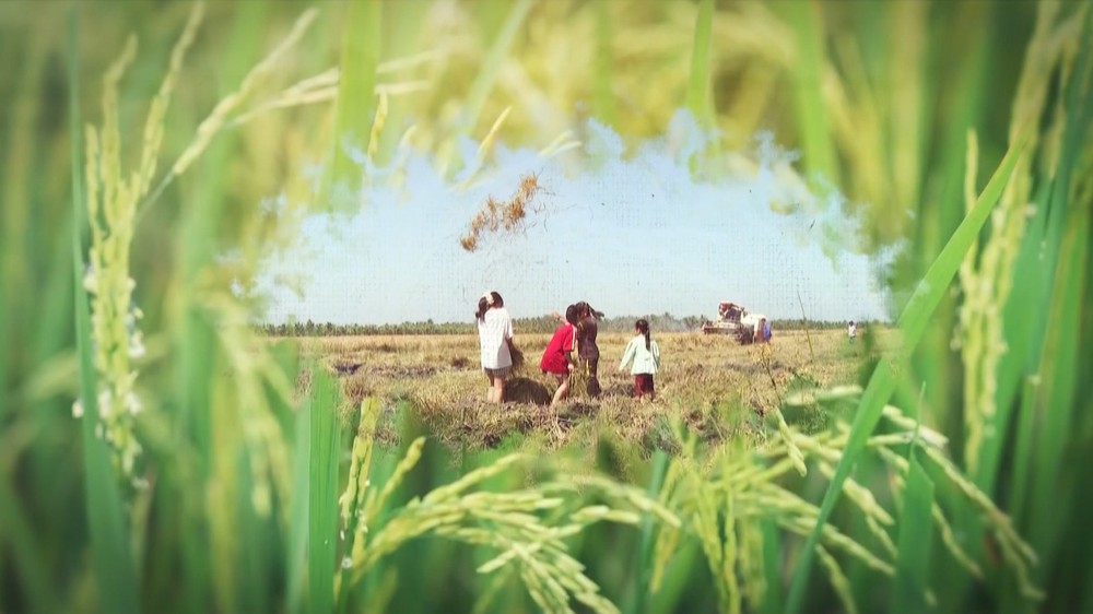 Người thầy gieo chữ và hành trình giữ màu xanh cho đồng ruộng - Ảnh 3. Người thầy gieo chữ và hành trình giữ màu xanh cho đồng ruộng - Ảnh 3.