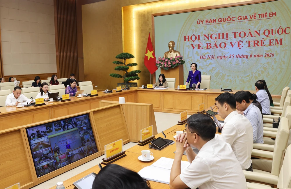 Hội nghị toàn quốc về bảo vệ trẻ em - Ảnh 3.