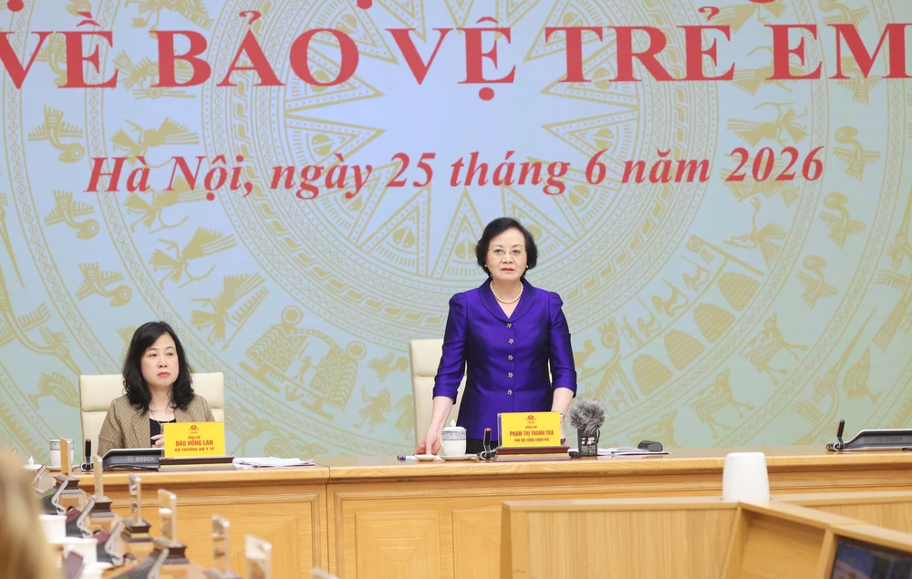 Hội nghị toàn quốc về bảo vệ trẻ em - Ảnh 4.