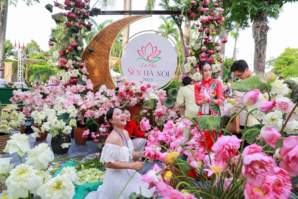 Lễ hội Sen Hà Nội năm 2026 - Ảnh 14.