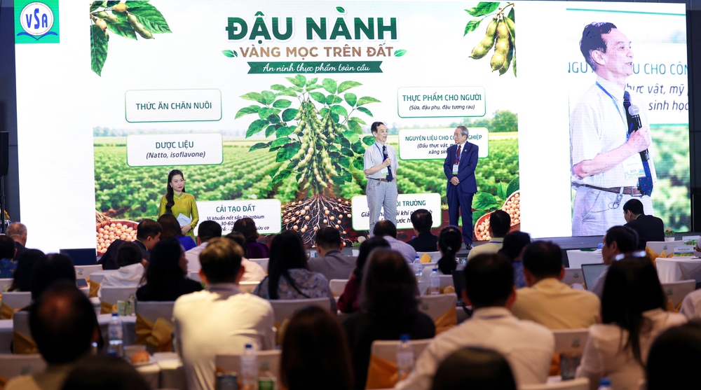 Đậu nành và các loại hạt góp phần phòng bệnh không lây nhiễm - Ảnh 1.