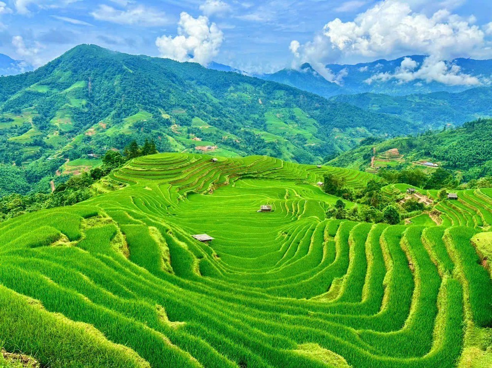 Trải nghiệm độc đáo cùng cuộc đua leo ruộng bậc thang ở Thông Nguyên - Ảnh 2.