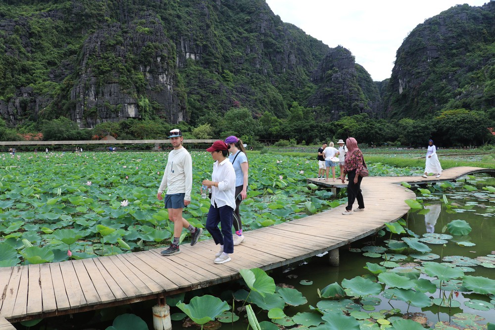 Ninh Bình rực rỡ sắc sen mùa hạ - Ảnh 2.