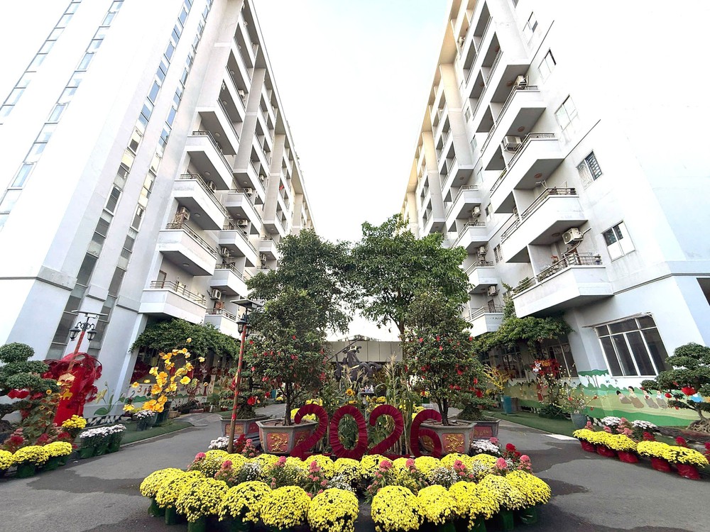 Bảo đảm công khai, minh bạch trong bán, cho thuê mua nhà ở xã hội - Ảnh 1.