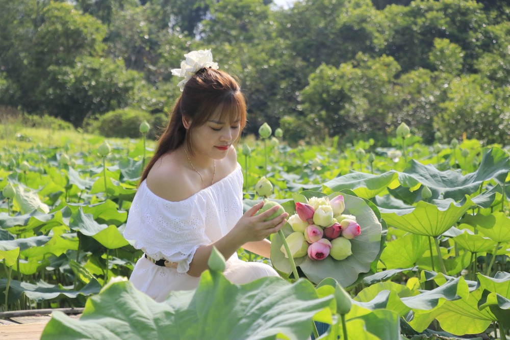 Sắc sen mùa Hạ mở hướng phát triển du lịch ở Việt Hồng - Ảnh 4.
