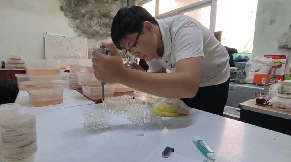 Tuyển sinh đại học 2026: Các ngành kỹ thuật, công nghệ "hút" thí sinh - Ảnh 3. Tuyển sinh đại học 2026: Các ngành kỹ thuật, công nghệ "hút" thí sinh - Ảnh 3.