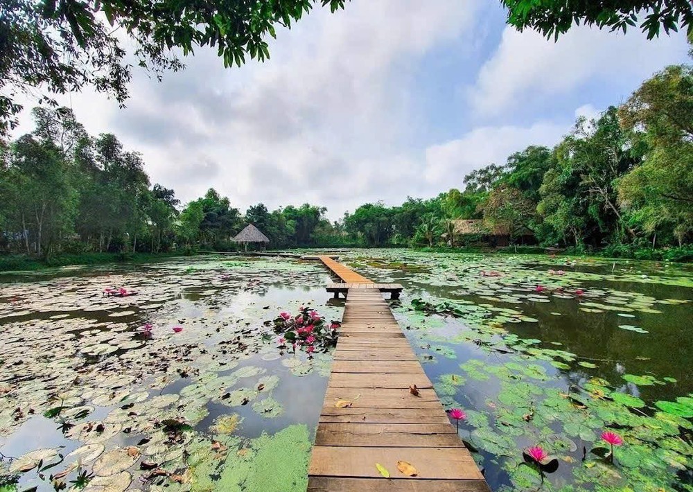 Vì một miền quê đáng sống: Xẻo Quýt đẹp nguyên sơ - "Hồn cốt" Đồng Tháp Mười - Ảnh 2.