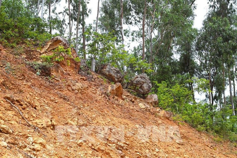 Tuyên Quang sẵn sàng ứng phó mưa lũ, sạt lở đất - Ảnh 1. Tuyên Quang sẵn sàng ứng phó mưa lũ, sạt lở đất - Ảnh 1.
