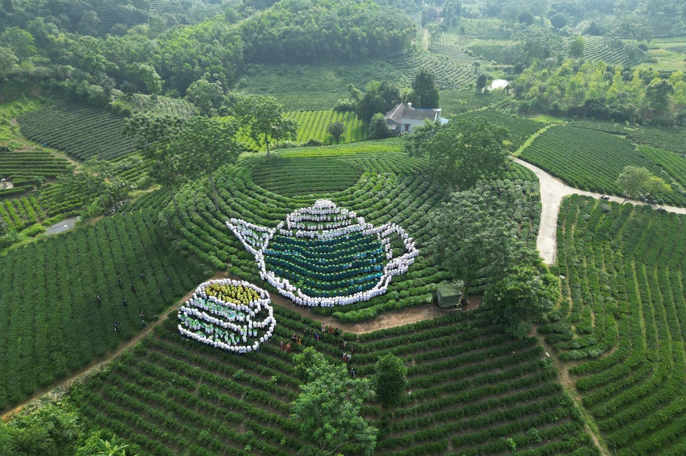 1.000 tà áo dài, 1.000 chiếc nón lá: Hai kỷ lục nghệ thuật kể chuyện xứ trà Thái Nguyên - Ảnh 5. 1.000 tà áo dài, 1.000 chiếc nón lá: Hai kỷ lục nghệ thuật kể chuyện xứ trà Thái Nguyên - Ảnh 5.