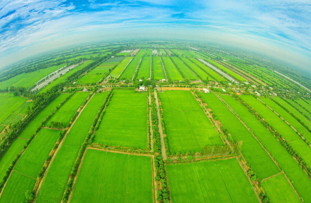 Điều chỉnh Quy hoạch sử dụng đất quốc gia thời kỳ 2021-2030, tầm nhìn đến năm 2050 - Ảnh 4. Điều chỉnh Quy hoạch sử dụng đất quốc gia thời kỳ 2021-2030, tầm nhìn đến năm 2050 - Ảnh 4.