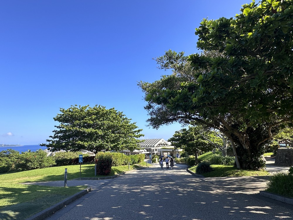 Khám phá Okinawa: Biển Emerald và Hanasaki Marche - Ảnh 5.