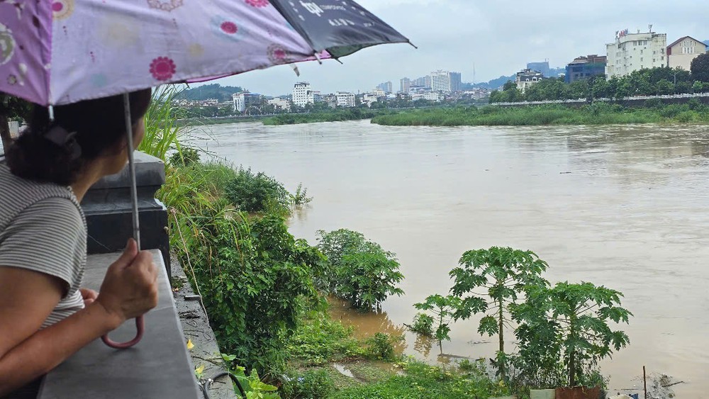  Mưa lớn gây lũ trên sông Hồng tại Lào Cai - Ảnh 7.