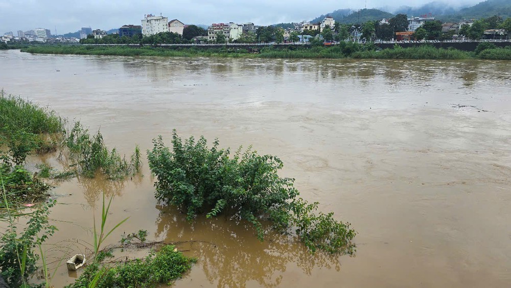  Mưa lớn gây lũ trên sông Hồng tại Lào Cai - Ảnh 2.