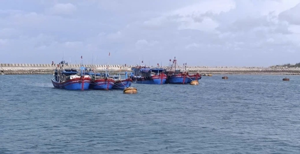 Đặc khu khu Bạch Long Vĩ, Hải Phòng sẵn sàng ứng phó bão số 1 - Ảnh 5. Đặc khu khu Bạch Long Vĩ, Hải Phòng sẵn sàng ứng phó bão số 1 - Ảnh 5.