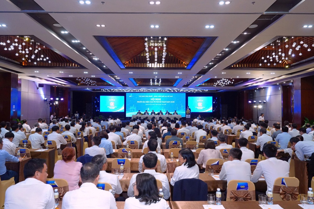 Petrovietnam phát huy vai trò người đại diện trong giai đoạn tăng trưởng mới - Ảnh 1. Petrovietnam phát huy vai trò người đại diện trong giai đoạn tăng trưởng mới - Ảnh 1.