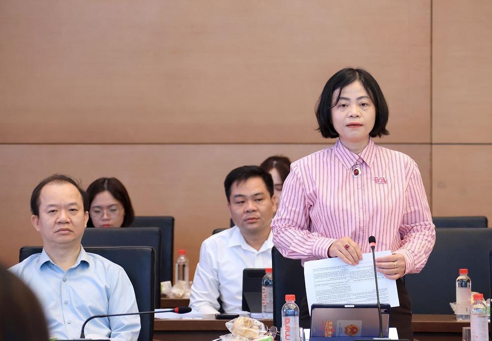 Tiếp tục Phiên họp toàn thể lần thứ ba Uỷ ban Văn hoá và Xã hội của Quốc hội - Ảnh 6.