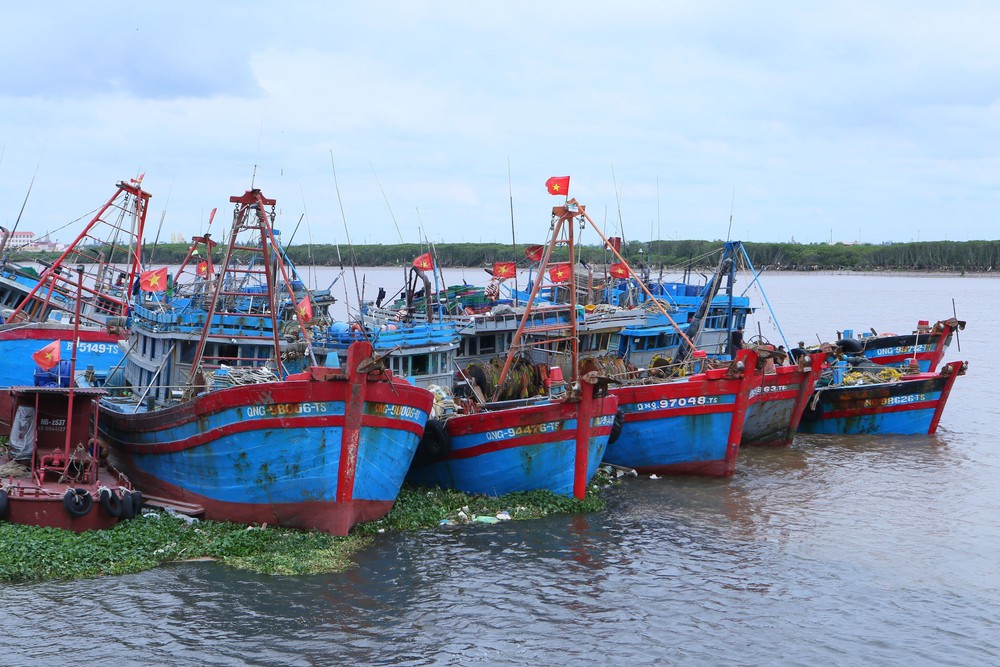 CẬP NHẬT ứng phó bão số 1: Bão di chuyển chậm, giảm cường độ và khả năng suy yếu trong ngày 5/7 - Ảnh 1. CẬP NHẬT ứng phó bão số 1: Bão di chuyển chậm, giảm cường độ và khả năng suy yếu trong ngày 5/7 - Ảnh 1.