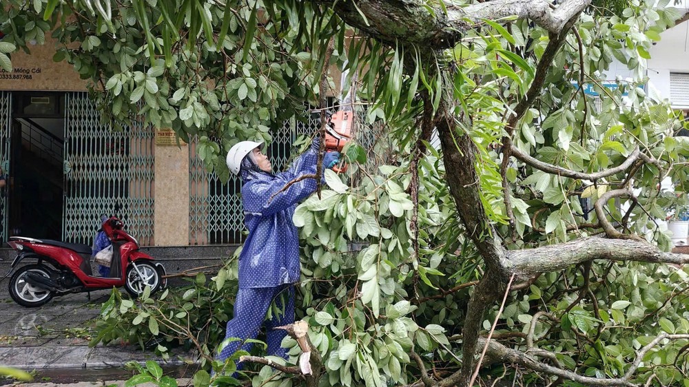 CẬP NHẬT BÃO SỐ 1: Quảng Ninh thiệt hại khoảng 20 tỷ đồng - Ảnh 3. CẬP NHẬT BÃO SỐ 1: Quảng Ninh thiệt hại khoảng 20 tỷ đồng - Ảnh 3.