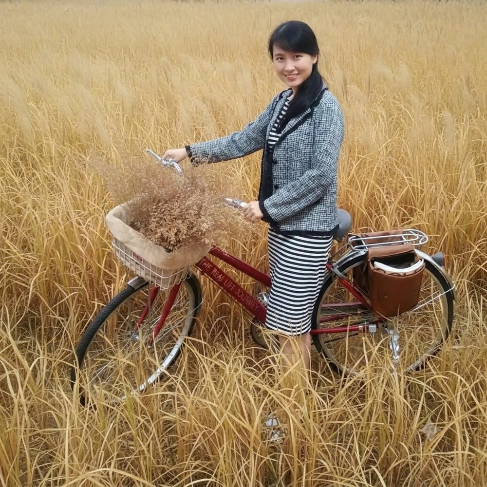 Dịch giả Thanh Vy: "Nơi đẹp nhất là nơi có màu xanh của cây..." - Ảnh 1.
