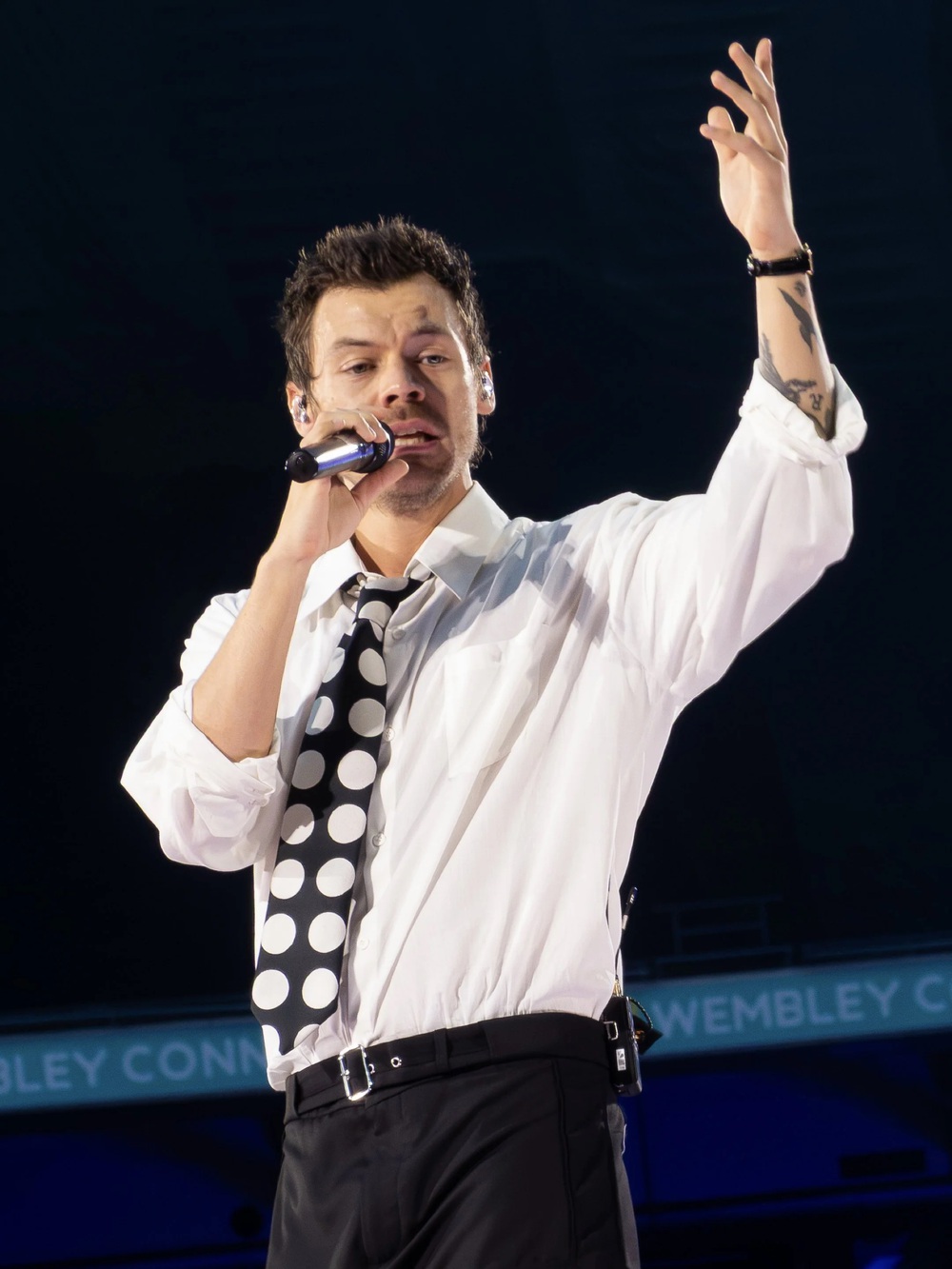 Harry Styles lập kỷ lục Guinness với 12 đêm kín chỗ ở Wembley - Ảnh 4. Harry Styles lập kỷ lục Guinness với 12 đêm kín chỗ ở Wembley - Ảnh 4.