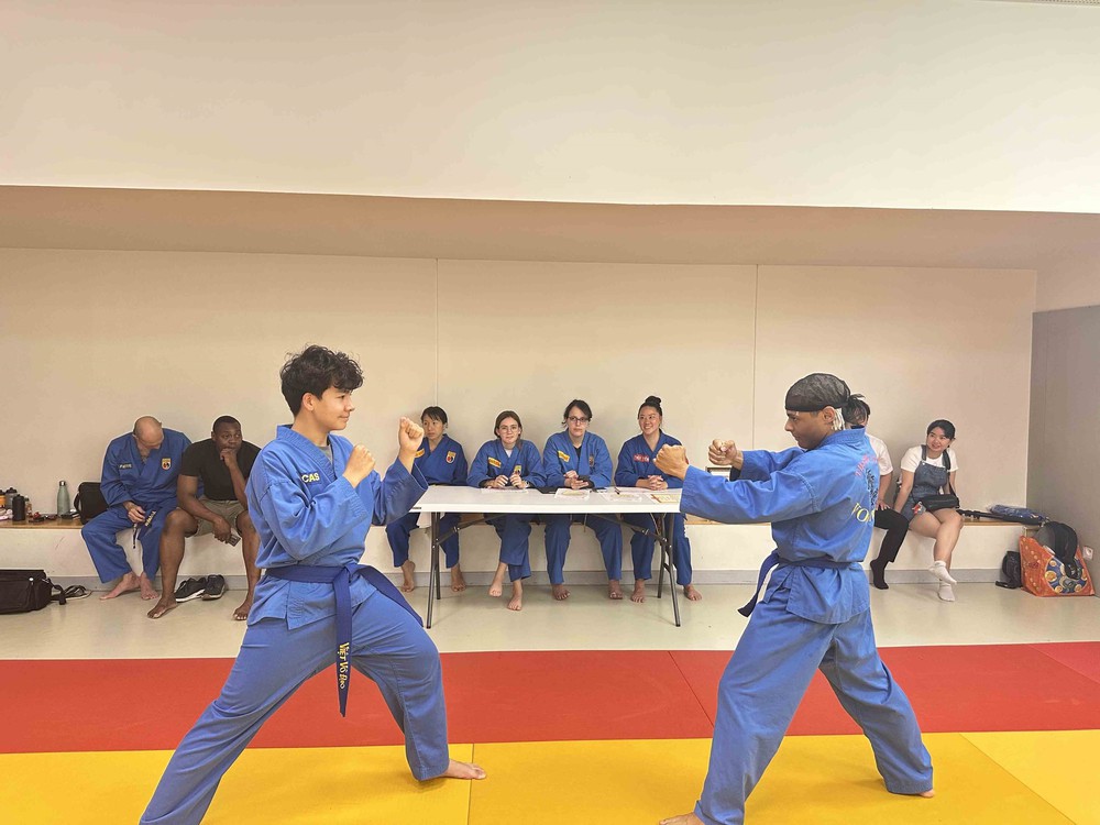 Người Việt tại Pháp lan tỏa văn hóa dân tộc qua võ cổ truyền Vovinam - Ảnh 1. Người Việt tại Pháp lan tỏa văn hóa dân tộc qua võ cổ truyền Vovinam - Ảnh 1.