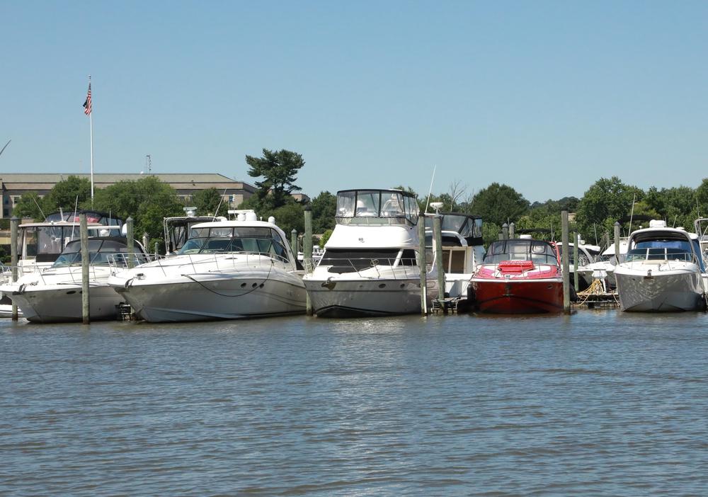 Potomac – Dòng sông định hình diện mạo thủ đô nước Mỹ - Ảnh 12.