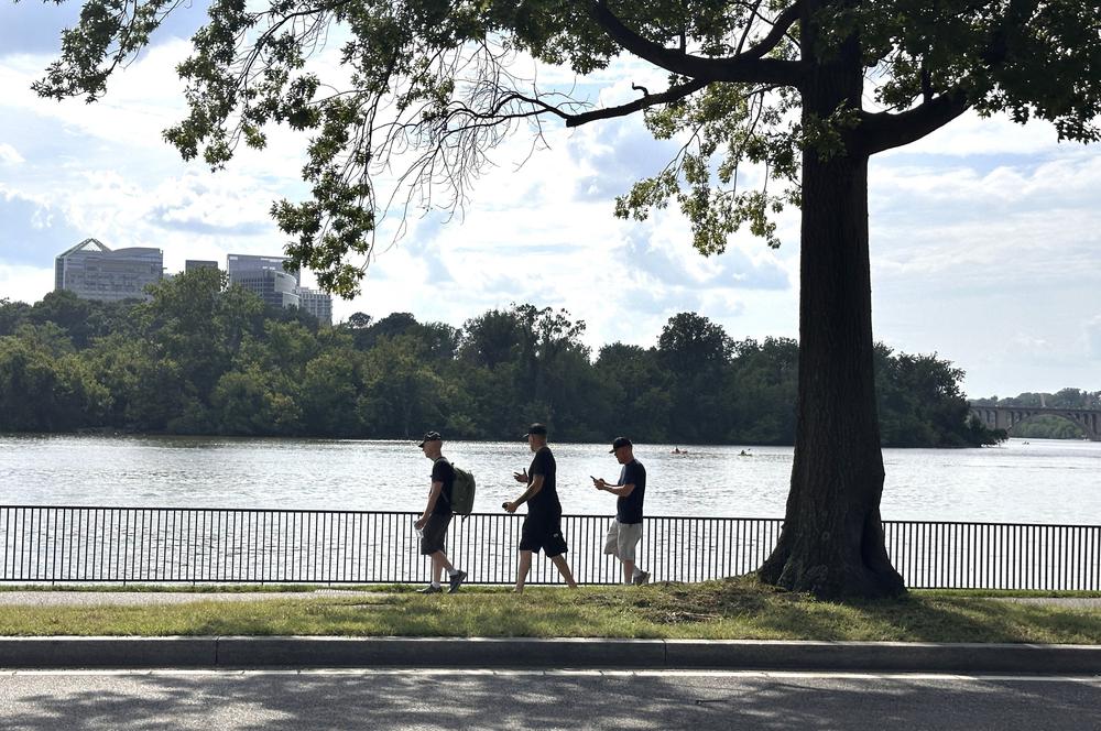 Potomac – Dòng sông định hình diện mạo thủ đô nước Mỹ - Ảnh 9.