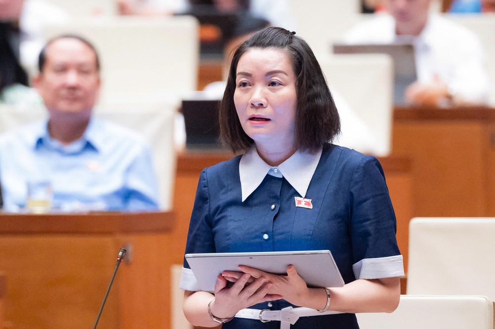 Đại biểu Quốc hội đề nghị xác định rõ 'biên giới' của Luật Xuất bản trên không gian mạng - Ảnh 1.