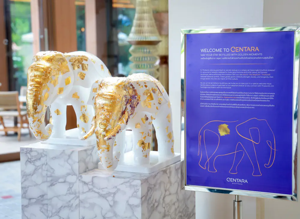 Cùng Centara biến mỗi kỳ nghỉ thành một hành trình đầy trải nghiệm đáng nhớ - Ảnh 5. Cùng Centara biến mỗi kỳ nghỉ thành một hành trình đầy trải nghiệm đáng nhớ - Ảnh 5.