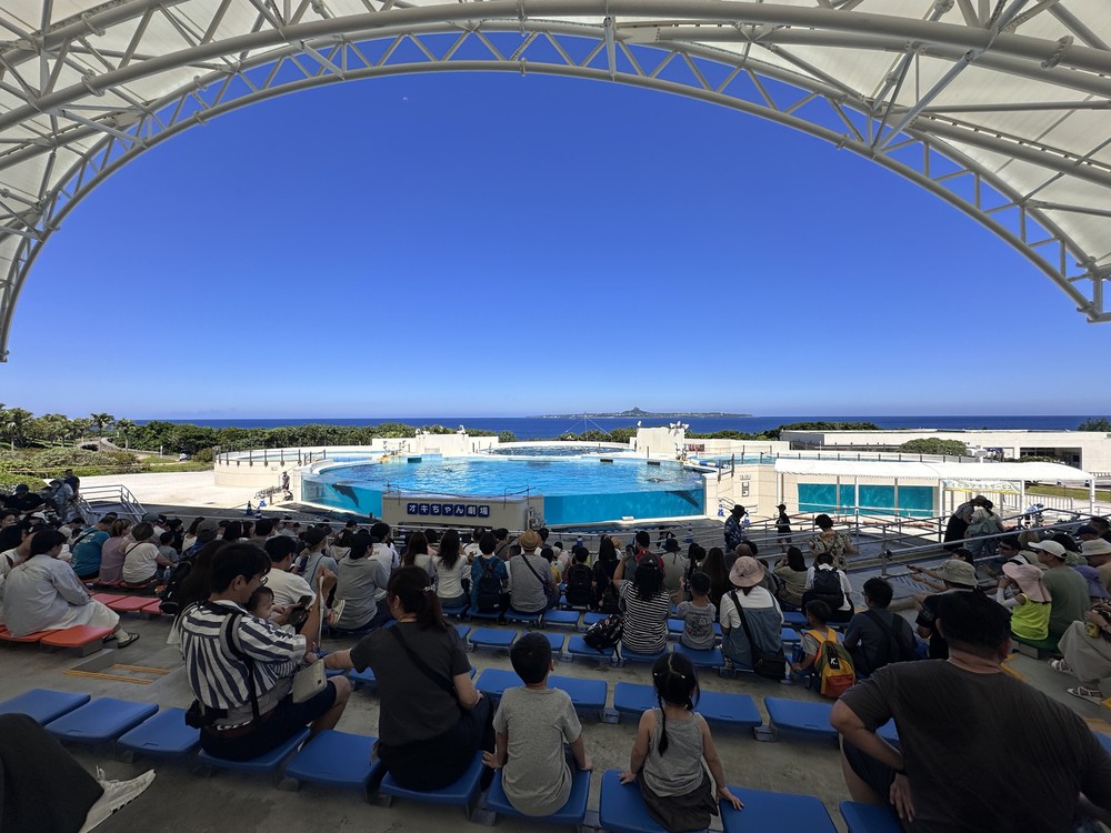 Vũ điệu cá heo giữa biển trời Okinawa - Ảnh 1.