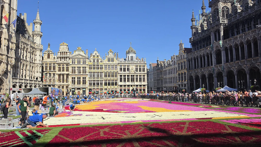 Bỉ: Khai mạc Thảm Hoa Brussels 2026 - Ảnh 2. Bỉ: Khai mạc Thảm Hoa Brussels 2026 - Ảnh 2.