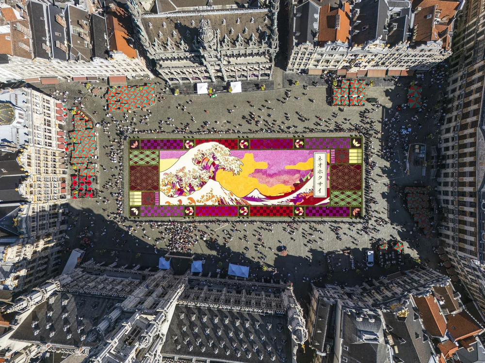 Bỉ: Khai mạc Thảm Hoa Brussels 2026 - Ảnh 1. Bỉ: Khai mạc Thảm Hoa Brussels 2026 - Ảnh 1.