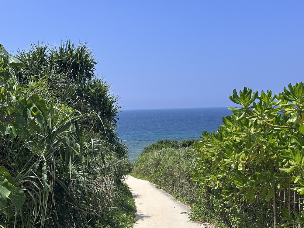 Đảo Kouri - viên ngọc xanh giữa lòng Okinawa - Ảnh 5.