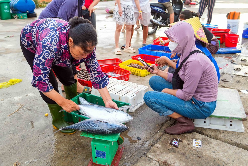 Nhịp sống sôi động tại cảng cá Cửa Nhượng, Hà Tĩnh - Ảnh 1.