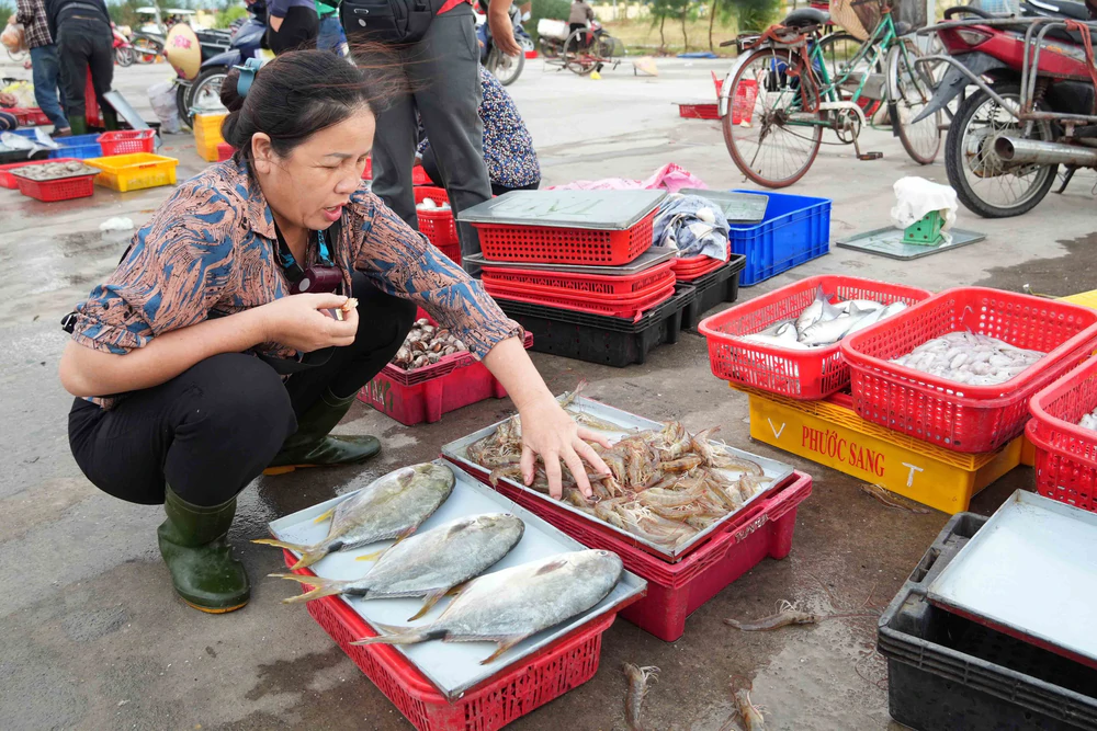 Nhịp sống sôi động tại cảng cá Cửa Nhượng, Hà Tĩnh - Ảnh 2.
