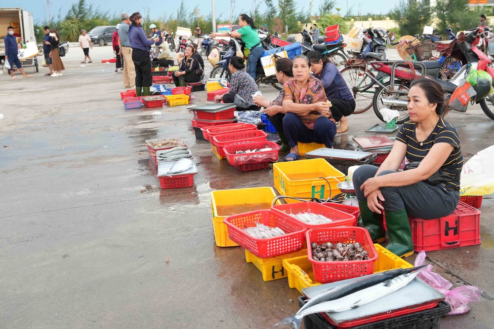 Nhịp sống sôi động tại cảng cá Cửa Nhượng, Hà Tĩnh - Ảnh 6.