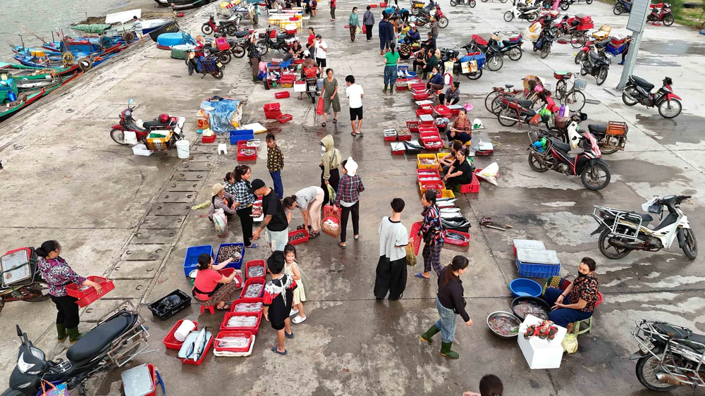 Nhịp sống sôi động tại cảng cá Cửa Nhượng, Hà Tĩnh - Ảnh 8.