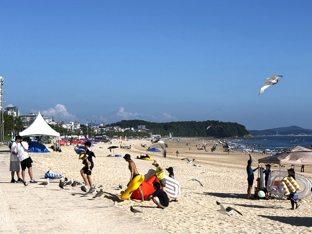 Boryeong – vẻ đẹp bình dị bên bờ Hoàng Hải - Ảnh 7.