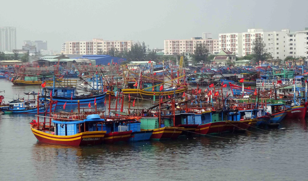 Chủ động ứng phó với áp thấp nhiệt đới mạnh lên thành bão và mưa lũ - Ảnh 1.