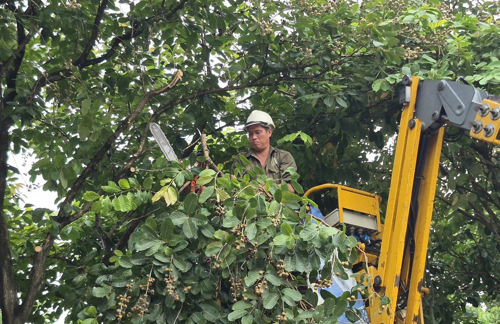 Hà Nội triển khai công tác ứng phó với bão số 4 - Ảnh 2.