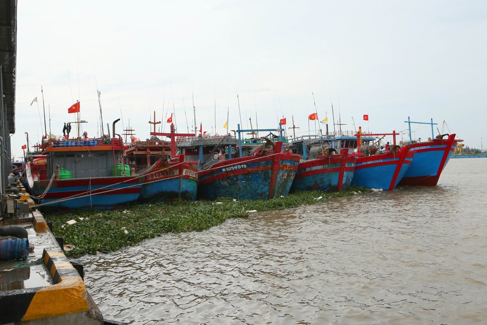 Bão số 4 áp sát Quảng Ninh - Hải Phòng, mưa lớn tiếp diễn - Ảnh 2. Bão số 4 áp sát Quảng Ninh - Hải Phòng, mưa lớn tiếp diễn - Ảnh 2.